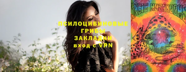 дурь Абинск