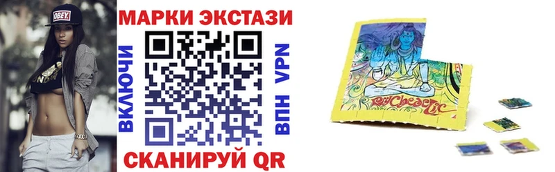 darknet наркотические препараты  Каменногорск  Марки NBOMe 1500мкг  магазин продажи  